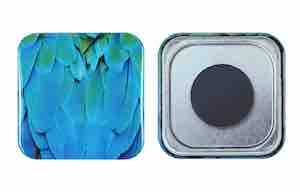 正方形（37 x 37）mm缶マグネット