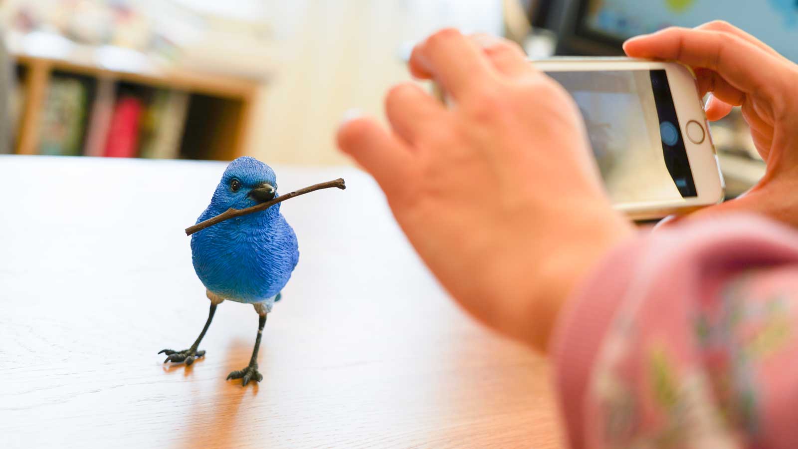 ユーカンバッジは写真画像一枚で缶バッチが作れます。鳥の置き物をiPhoneで写真を撮ります。